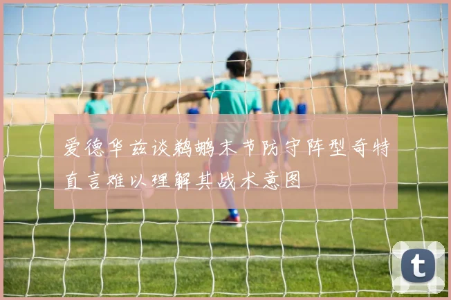 爱德华兹谈鹈鹕末节防守阵型奇特直言难以理解其战术意图